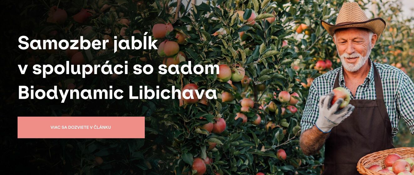 Samozber jabĺk v spolupráci so sadom Biodynamic Libichava