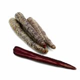 Mrkva fialová kal. 50-250