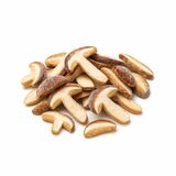 Mrazený Suchohríb hnedý kocky 1kg Viking Frost