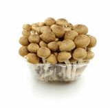 Shimeji hnedé 150g, I.trieda