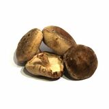 Shiitake huba (húževnatec jedlý), I.trieda