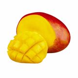 Mango AIR Kent kal. 10-12