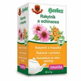 Herbex čaj Rakytník a echinacea 20x3g (60g)