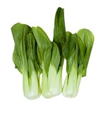Šalát Shanghai Pak Choi, I.trieda