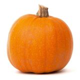 Tekvica Halloween 4-8kg, I.trieda