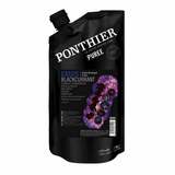Pyré Čierna ríbezľa 1kg Ponthier