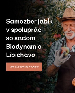 Samozber jabĺk v spolupráci so sadom Biodynamic Libichava