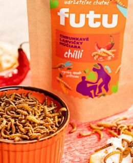 10 mýtov a faktov o jedlom hmyze: Čo na svrčky, koníky a jedlé červíky hovorí veda?