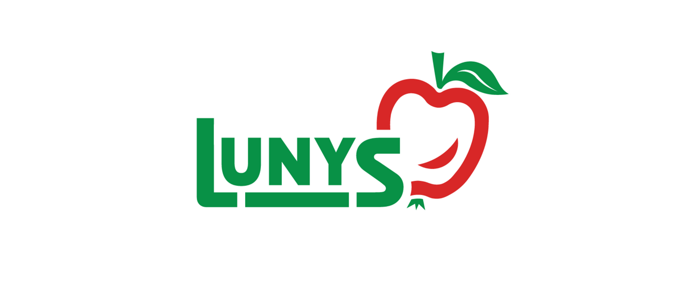 Inteligentné inovácie v spoločnosti LUNYS, s.r.o.