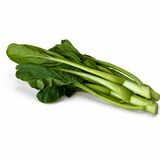 Šalát Choi Sum I.Tr.