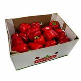 Paprika červená California kal. GG cca 5kg kartón