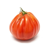 Paradajka Coeur de Boeuf (Býčie srdce)kal.XL ,I.Tr