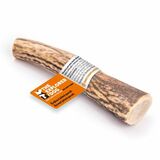 Explorer dog Žuvací jelení paroh M tvrdý