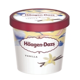 Mrazená Häagen-Dazs zmrzlina Vanilka 95ml