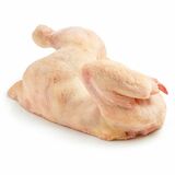 Mrazená Sliepka ťažká polená cca 1,5kg Tenderfood