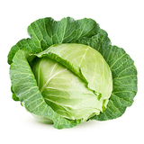 Kapusta biela skorá