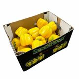 Paprika žltá California kal. GG cca 5kg kartón