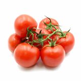 Paradajka kríčková kal. M, I.trieda