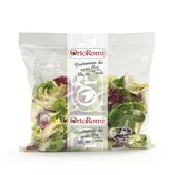 Šalát mix Fantasiosa 200g