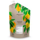 Pyré Mango 2,5kg Ponthier