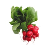 Reďkovka červená zväzok, I.Tr