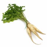 Petržlen zväzok I.tr