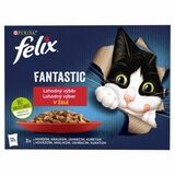 Felix Fantastic lahodný výber z mäsa v želé 12x85g