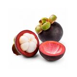 Mangostan AIR I. Tr.