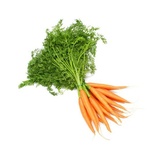 Mrkva zväzok I. Tr.