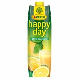 Rauch Happy Day Grapefruit 100% 1L