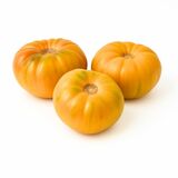 Paradajky Beefsteak ananásové, I.Tr