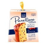 Panettone s hrozienkami bez laktózy a bez lepku 600g Nutrifree