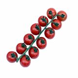 Paradajky Cherry červené krík Passion kal. 20-25, I.trieda