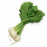 Reďkovka biela zväzok kal.10x3 ,I.Tr