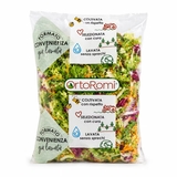 Šalát mix Primavera 500 g
