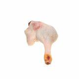 Mrazené Kačacie stehná 13kg Barbarie