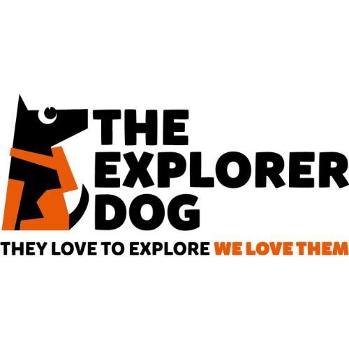 Explorer Dog 