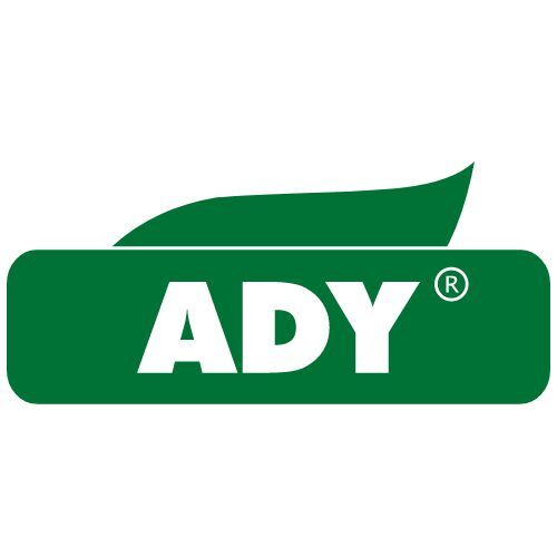 Ady