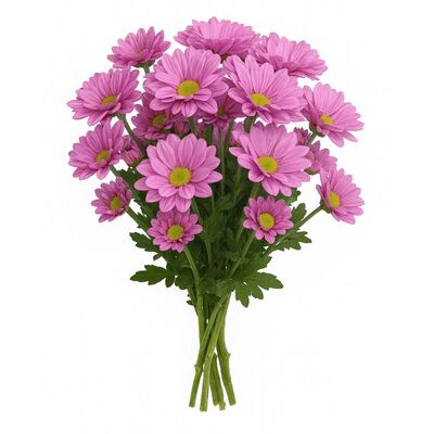 Kytica čerstvých kvetov mix, Chryzantémy 3ks