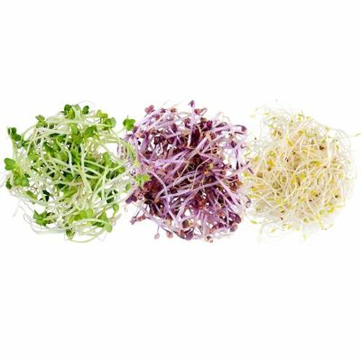 Klíčky mix Trio 3x20g