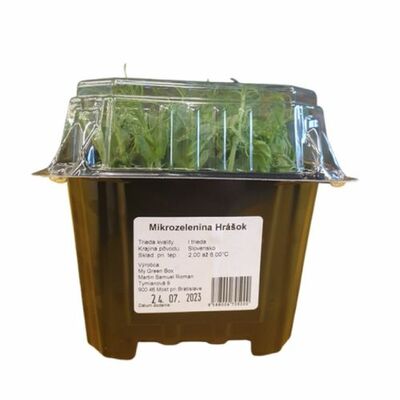 Microgreens Hrášok Pea Foxy, vanička MyGreenBox