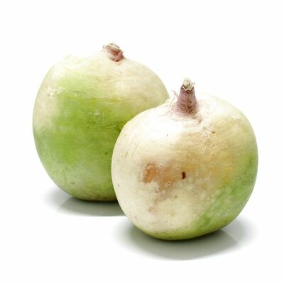 Reďkovka water melon ,I.Tr