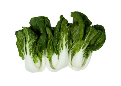 Šalát Pak Choi baby I.tr.
