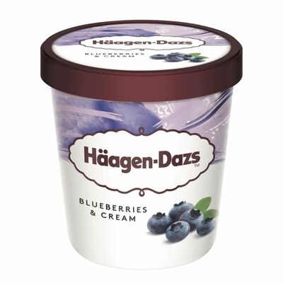 Mr.Häagen-Dazs zmrzlina čučoriedky ,smotana 460ml