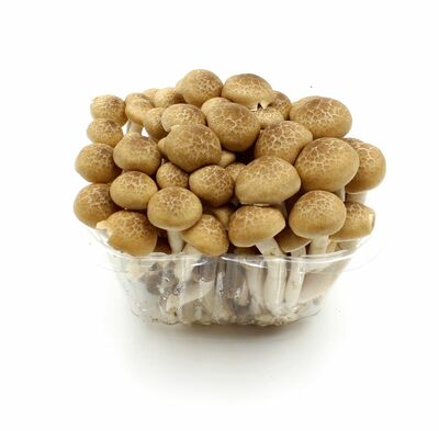 Shimeji hnedé 150g, I.trieda