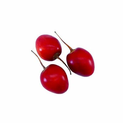 Tamarilo, I.trieda