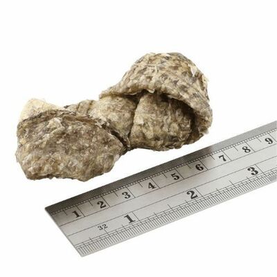 Fish4dogs Dental Sea Jerky : uzlíky 100g