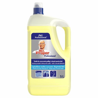 P&amp;G Mr.Proper Professional univerzálny čistič 5l