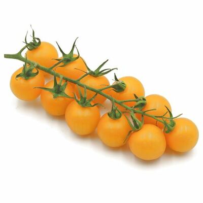 Paradajky Cherry žlté krík  (kg)