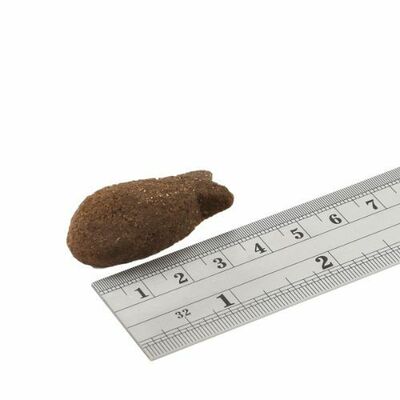 Fish4dogs Support+ Maškrty Losos 225g